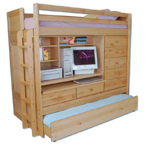 Birch Youth Birch Computer Loft Bed